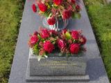 image of grave number 950103